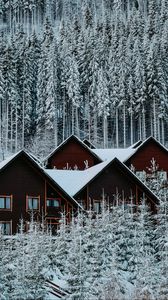 Preview wallpaper houses, forest, snow, winter, nature