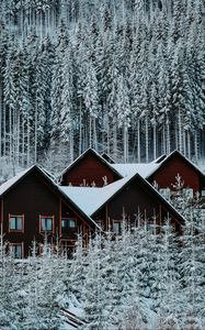 Preview wallpaper houses, forest, snow, winter, nature