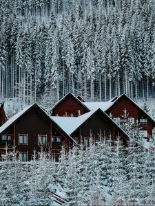 Preview wallpaper houses, forest, snow, winter, nature