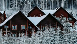 Preview wallpaper houses, forest, snow, winter, nature