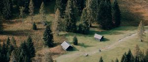 Preview wallpaper houses, forest, trees, path