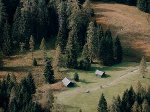 Preview wallpaper houses, forest, trees, path