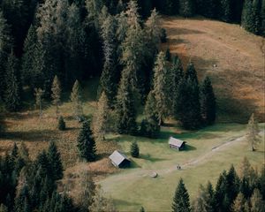 Preview wallpaper houses, forest, trees, path