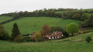 Preview wallpaper houses, hills, trees, slope, grass, nature