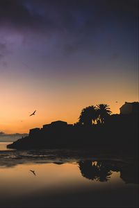 Preview wallpaper houses, palm trees, bird, silhouettes, evening