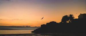 Preview wallpaper houses, palm trees, bird, silhouettes, evening