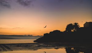 Preview wallpaper houses, palm trees, bird, silhouettes, evening