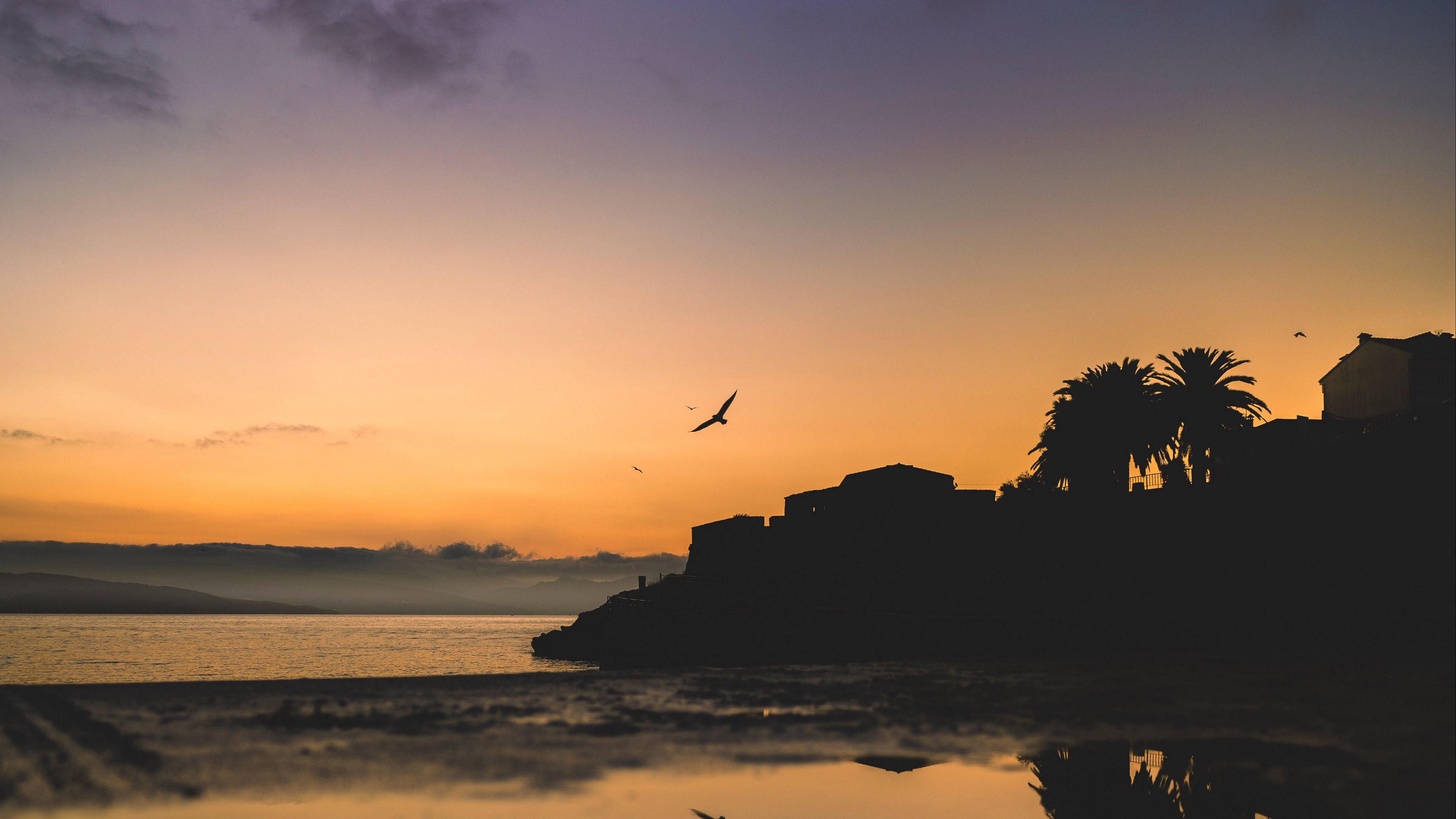 Download wallpaper 3840x2160 houses, palm trees, bird, silhouettes