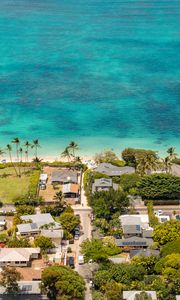 Preview wallpaper houses, palm trees, tropics, sea, aerial view