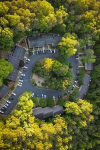 Preview wallpaper houses, roofs, road, trees, aerial view, usa