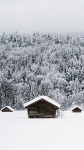 Preview wallpaper houses, snow, forest, winter, nature