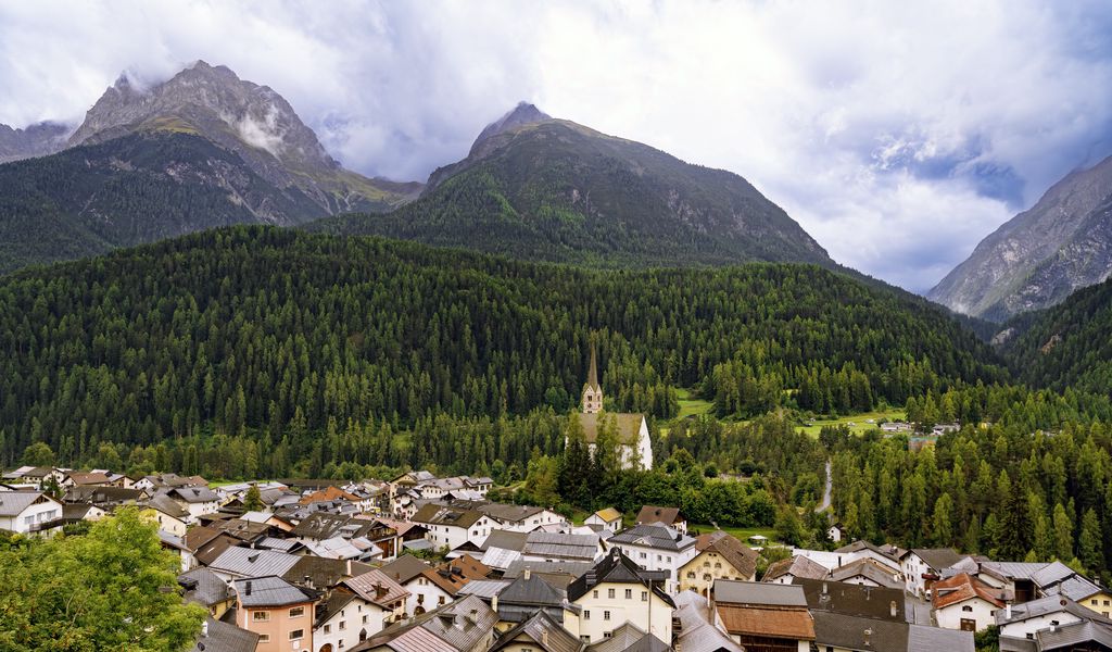 1024x600 Wallpaper houses, trees, forest, mountains, hills, view