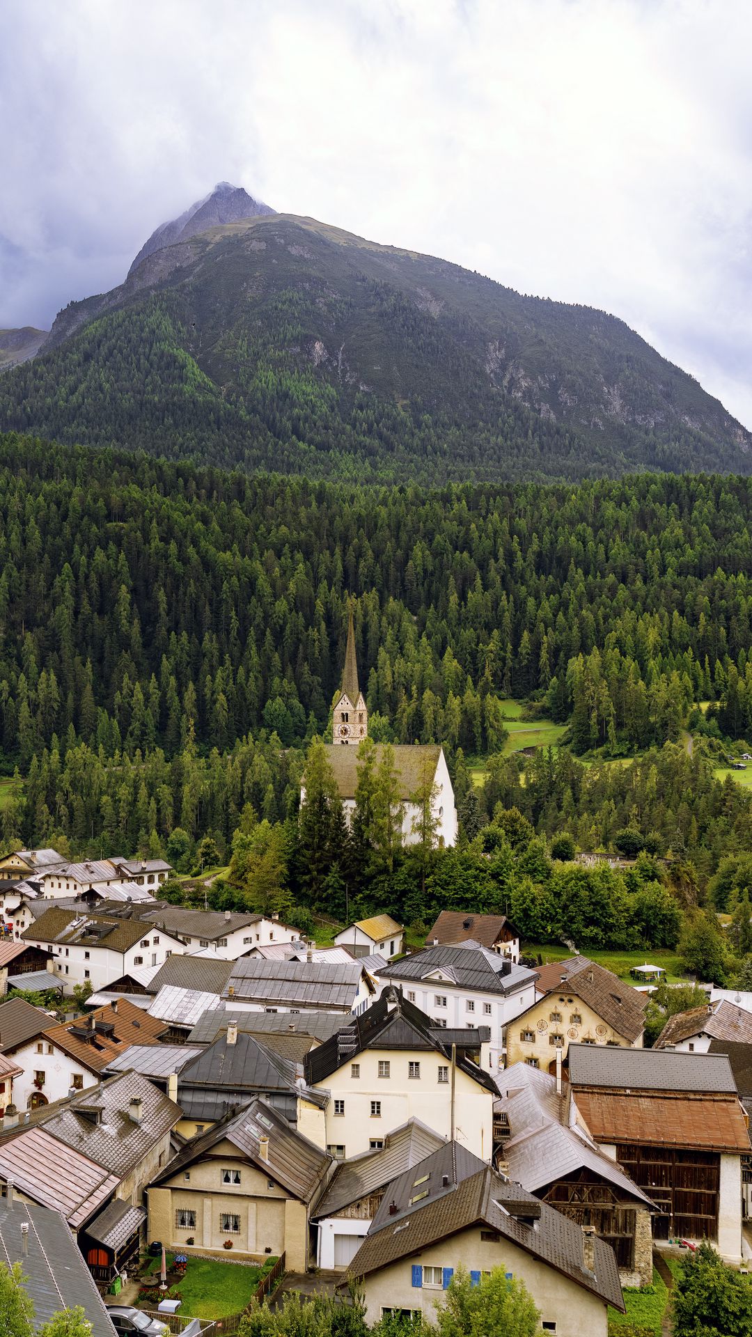 1080x1920 Wallpaper houses, trees, forest, mountains, hills, view