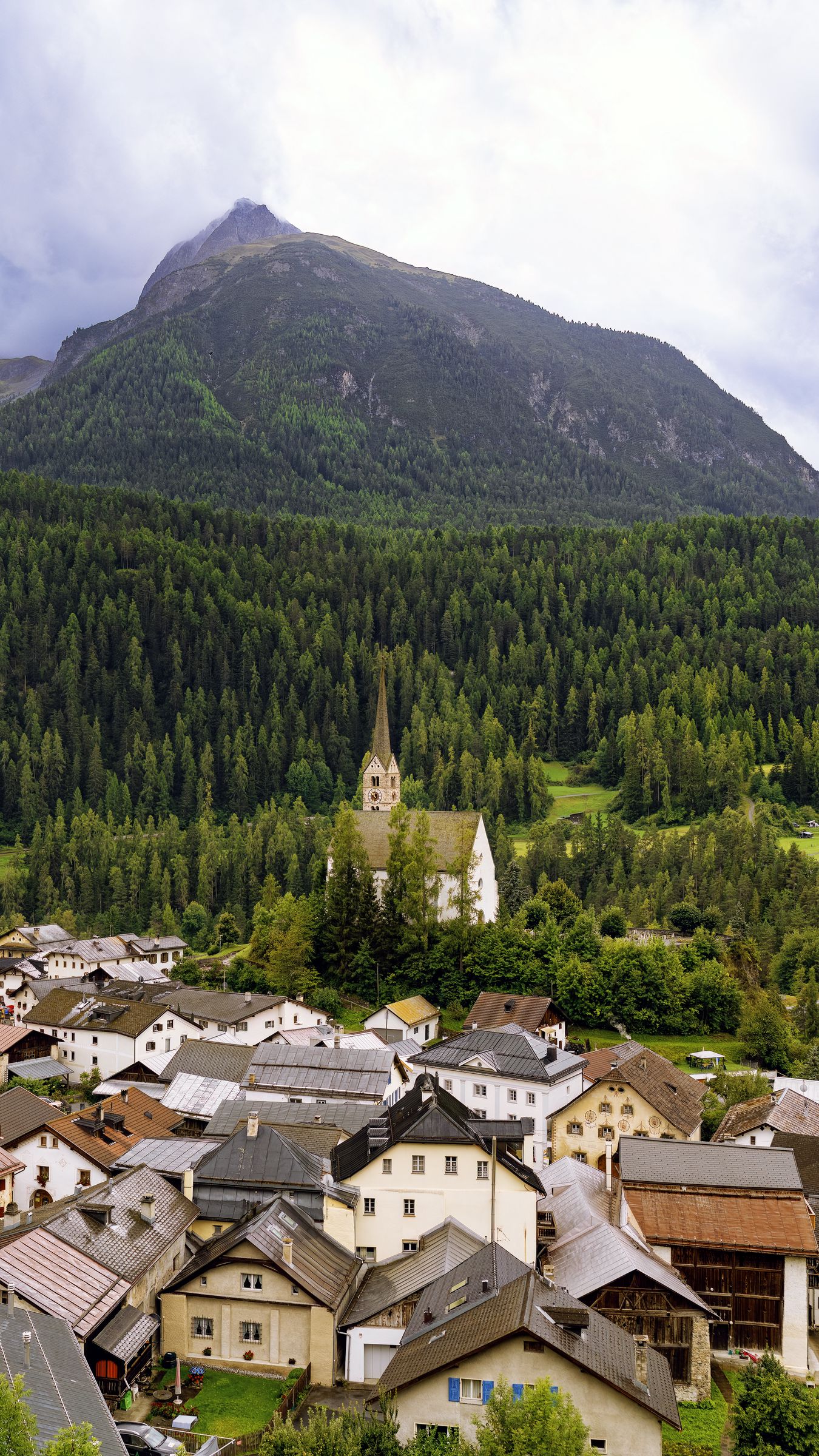 1350x2400 Wallpaper houses, trees, forest, mountains, hills, view