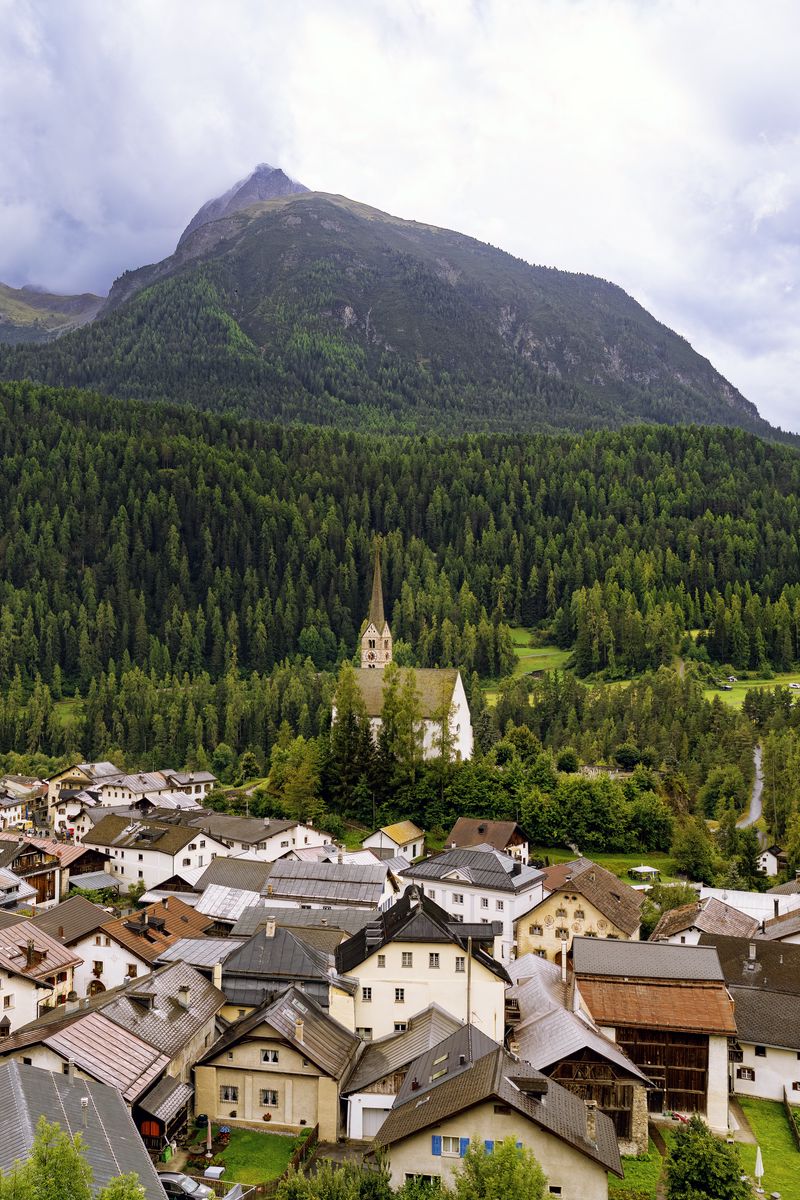 800x1200 Wallpaper houses, trees, forest, mountains, hills, view