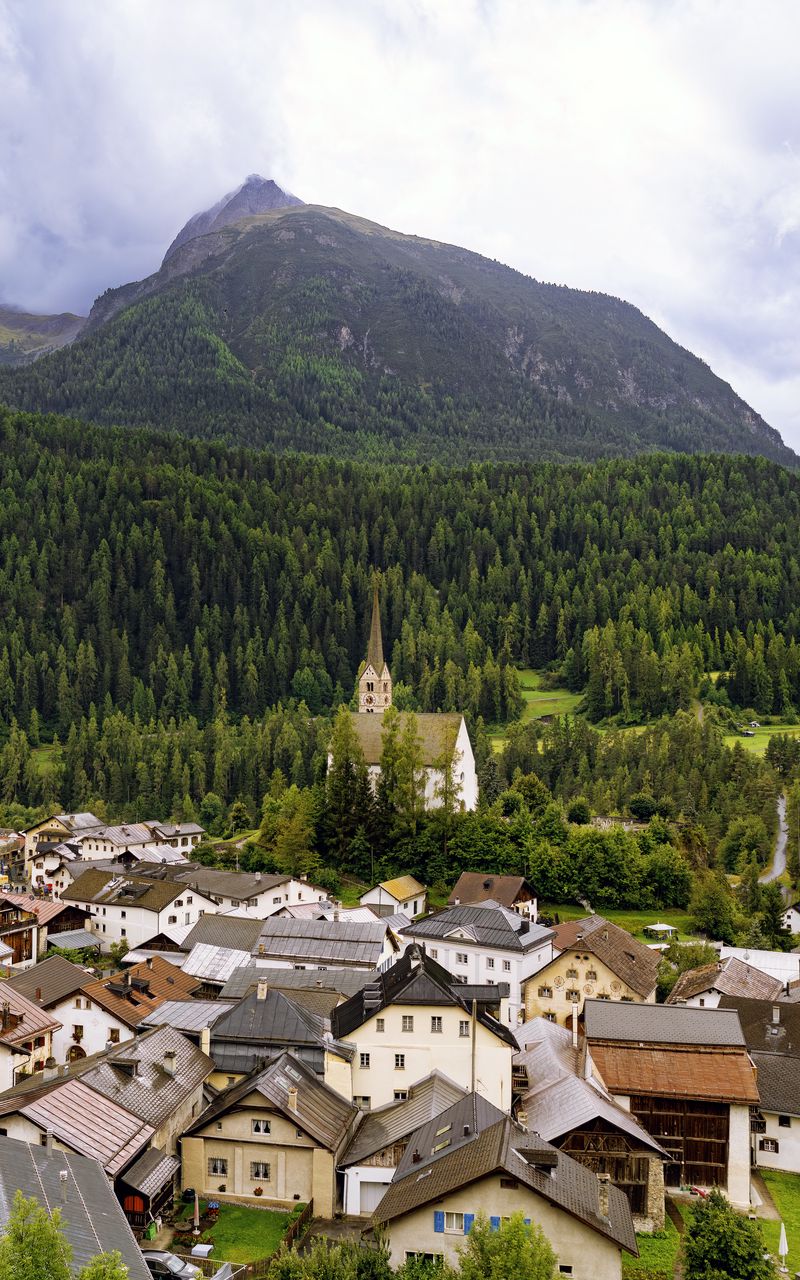 800x1280 Wallpaper houses, trees, forest, mountains, hills, view