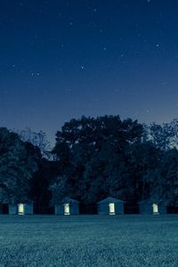 Preview wallpaper houses, trees, forest, grass, night