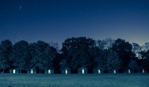 Preview wallpaper houses, trees, forest, grass, night