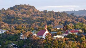 Preview wallpaper houses, trees, hills, aerial view