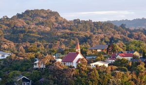 Preview wallpaper houses, trees, hills, aerial view