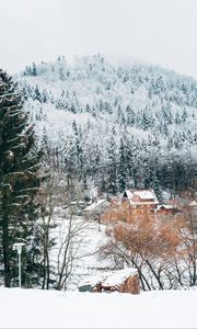 Preview wallpaper houses, trees, snow, winter