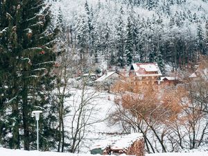 Preview wallpaper houses, trees, snow, winter