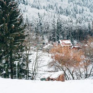 Preview wallpaper houses, trees, snow, winter