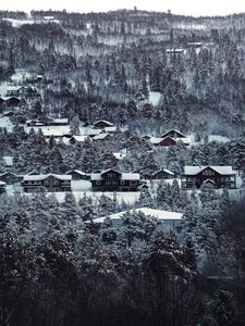 Preview wallpaper houses, trees, snowy, winter, landscape