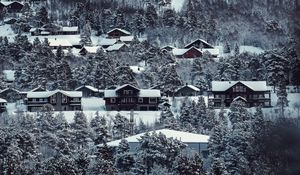Preview wallpaper houses, trees, snowy, winter, landscape