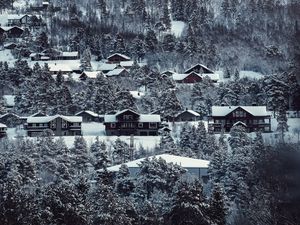 Preview wallpaper houses, trees, snowy, winter, landscape