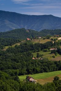 Preview wallpaper houses, valley, trees, mountain, nature