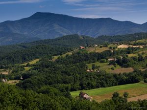 Preview wallpaper houses, valley, trees, mountain, nature