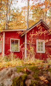 Preview wallpaper houses, windows, trees, branches, autumn