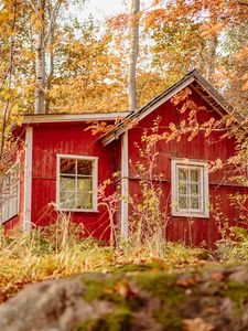 Preview wallpaper houses, windows, trees, branches, autumn