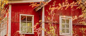 Preview wallpaper houses, windows, trees, branches, autumn