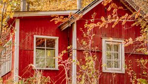 Preview wallpaper houses, windows, trees, branches, autumn