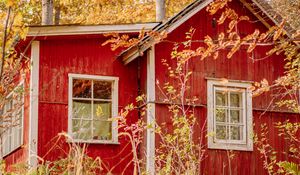 Preview wallpaper houses, windows, trees, branches, autumn