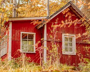 Preview wallpaper houses, windows, trees, branches, autumn