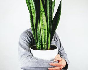 Preview wallpaper human, houseplant, plant, hands