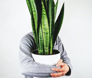 Preview wallpaper human, houseplant, plant, hands