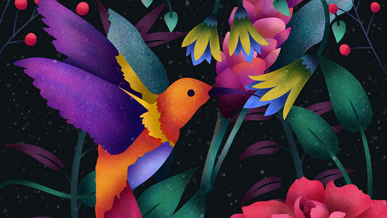 Wallpaper hummingbird, bird, art, flowers