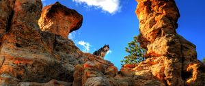 Preview wallpaper husky, dog, pet, rocks, mountains