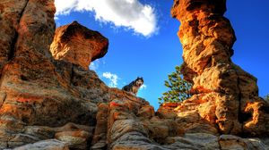 Preview wallpaper husky, dog, pet, rocks, mountains