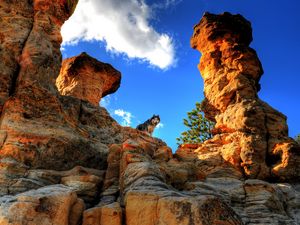 Preview wallpaper husky, dog, pet, rocks, mountains