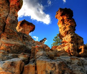 Preview wallpaper husky, dog, pet, rocks, mountains