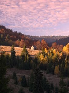 Preview wallpaper hut, building, forest, trees, sky, clouds