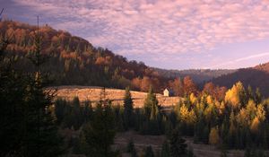 Preview wallpaper hut, building, forest, trees, sky, clouds