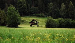 Preview wallpaper hut, bushes, grass, forest