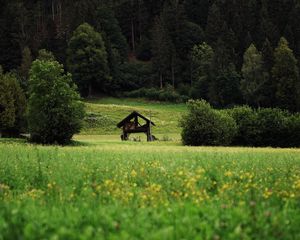 Preview wallpaper hut, bushes, grass, forest