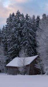 Preview wallpaper hut, winter, snow, forest, nature